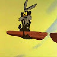 buzzdudde