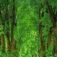 ParazOhanaChristmas2