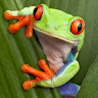mykj
