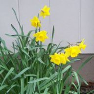 BrightenYourDay