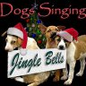 Jingle Dogs