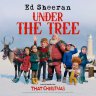 Ed Sheeran "Under the Tree" from That Christmas movie