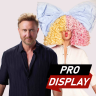 David Guetta & Sia - "Beautiful People" (PRO Display)