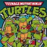 Teenage Mutant Ninja Turtles Theme