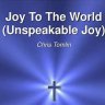 Joy To The World (Unspeakable Joy) - Chris Tomlin