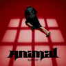 KATSEYE - "Animal"